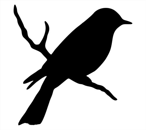 Bird branch vinyl decal - bird, on
