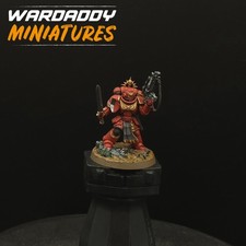 Pro Painted Warhammer 40k