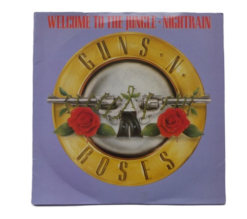 Guns roses welcome to - guns,