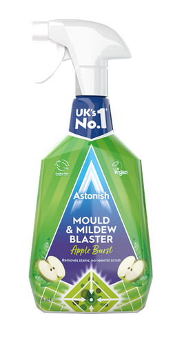 Mould and mildew - mildew, blaster