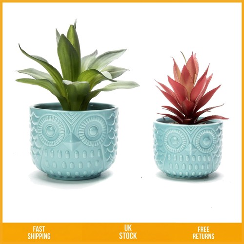 Adorable ceramic owl - adorable, animal