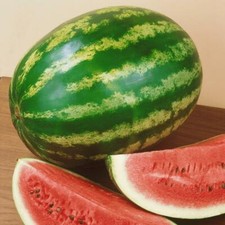 Watermelon Seeds Crimson Sweet Grow Your Own Fruit