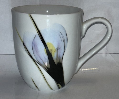 Everyday white porcelain cups - everyday,