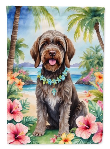 Wirehaired pointing griffon - wirehaired,
