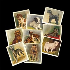 1936 Godfrey Phillips Ltd Cigarette Cards OUR PUPPIES - Pick your Card/s