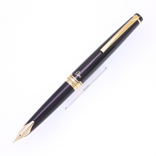 Pilot fountain pen - fountain, namiki