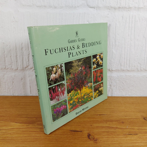 Fuchsia and bedding - fuchsia, by