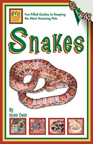 Snakes beginning vivarium - beginning,