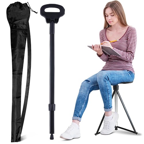 Walking cane with - cane, seat