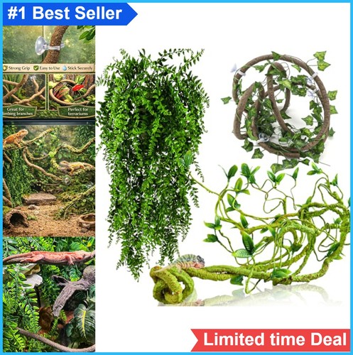 Reptile terrarium climbing - reptile,
