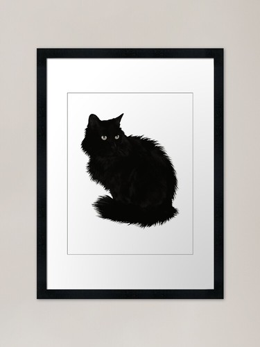 Big fluffy black - black, cat