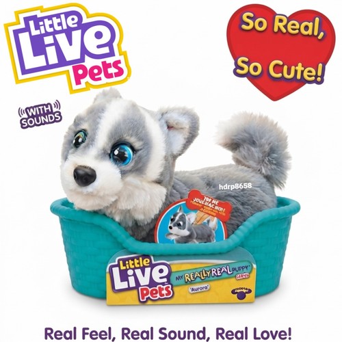 Little live pets really - little,