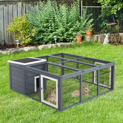 Rabbit run small animal - small,