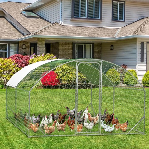 Walk chicken run coop - chicken,