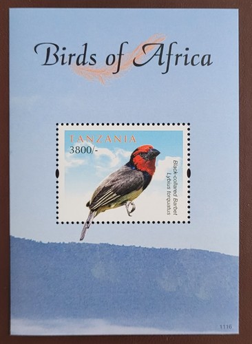 Tanzania 2011 birds of - / ,
