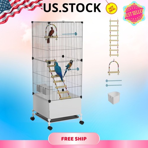 Medium flight bird - flight,