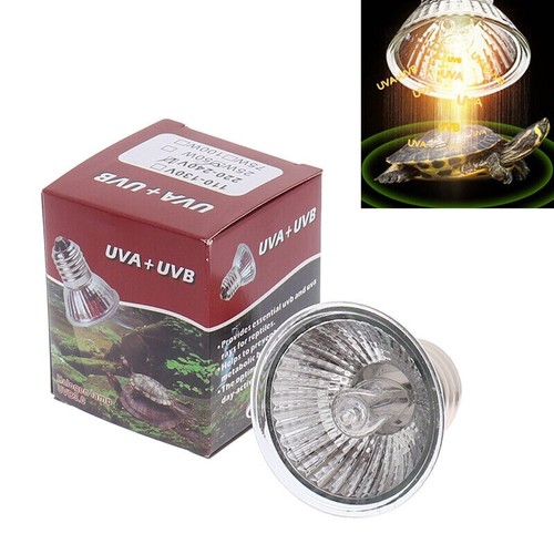 Reptile heat lamp 50w uva - heat,