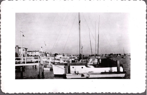 Vintage photograph 1940 - photograph, 1940's