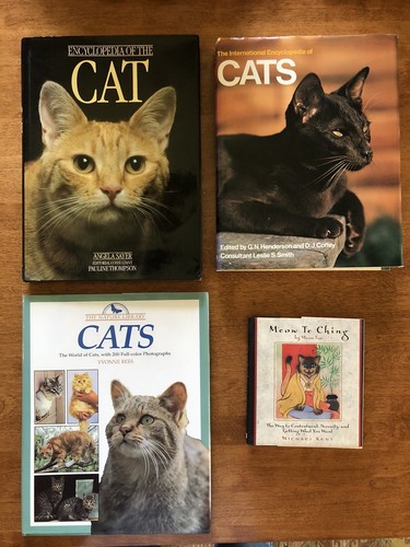 Meow ching cat - te,