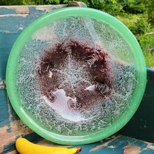 Vintage WMF Ikora Art Glass 30's Hand-Blown 14" Fruit / Console Bowl