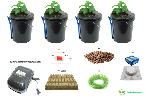 Deep water culture dwc - deep,