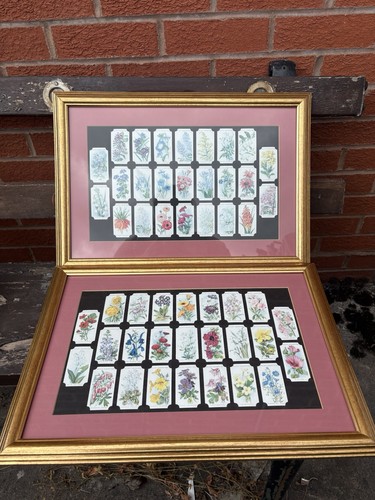 Framed wills s - 2,