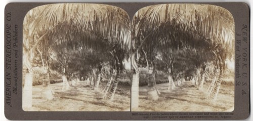 Stereo photography american - stereo,
