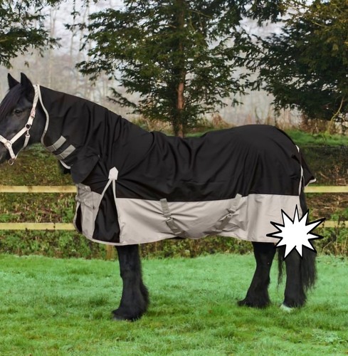 Fixed neck 50g horse rug - neck,