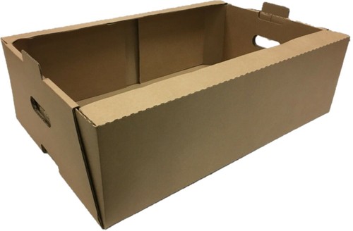 X 7 cardboard - 15",