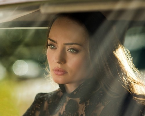Sexy laura haddock 8x10 photo - laura,