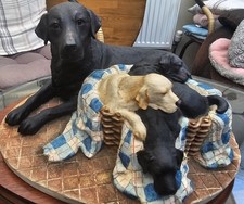 Border Fine Arts 'Labrador and Pups', model No. BO350B - Limited Edition