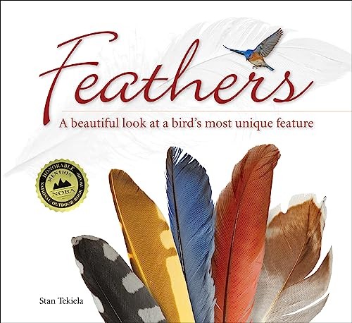 Feathers beautiful look - feathers:, at