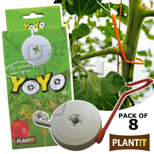 Yoyo plant supports tomato - plant,
