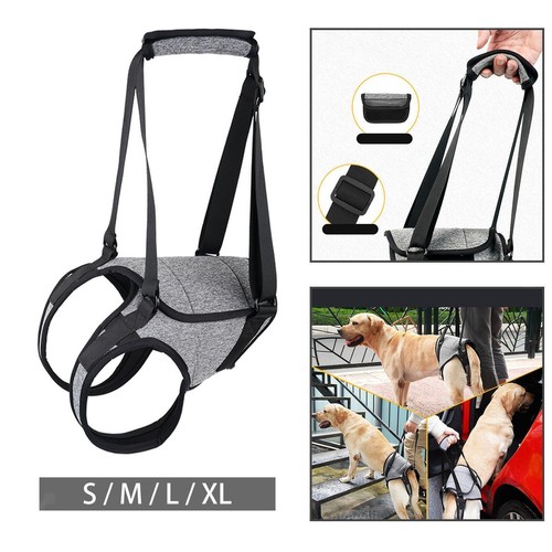 Senior dog lifting harness - lifting,