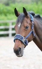 Shires Horse Lunging Cavesson