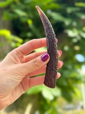 Wild Antler Horn Chews For