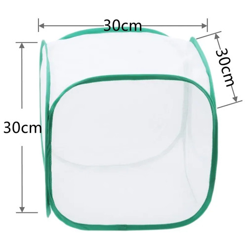 Collapsible insect cage - insect,