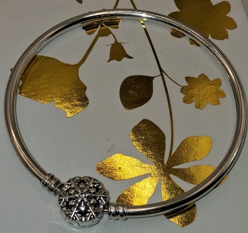 Pandora silver limited edition - silver,