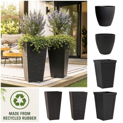 Black large plant - pot, indoor