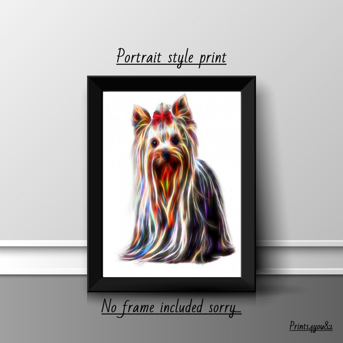 Yorkshire terrier picture - terrier,