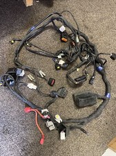 2019 Benelli TRK502X Wiring Harness Loom 92000P160008