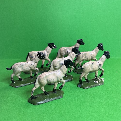 Black face sheep - sheep, metal