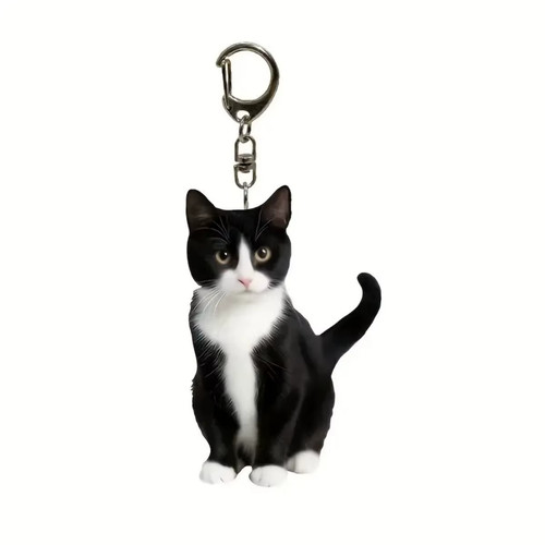 Black and white - and, cat