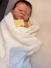 Reborn Boy/Girl Doll Realistic Vinyl