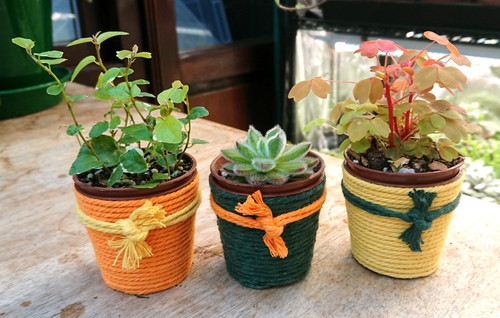 Autumn trio indoor - trio,