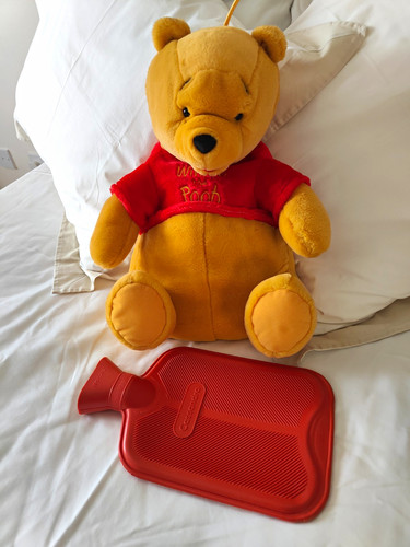 Disney winnie the pooh plush - disney,