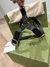 GUCCI Pet Dog Interlocking GG