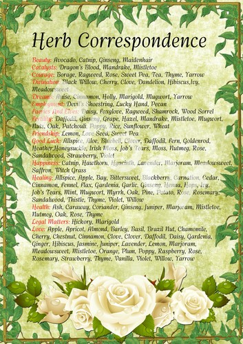 Size wiccan herb - a4,
