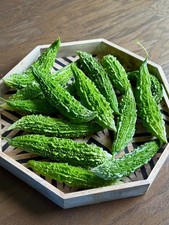 Best Quality Fresh Bitter