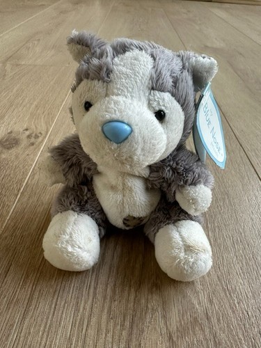 Alaska the husky tatty teddy - tatty,